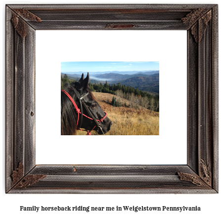 family horseback riding near me in Weigelstown, Pennsylvania